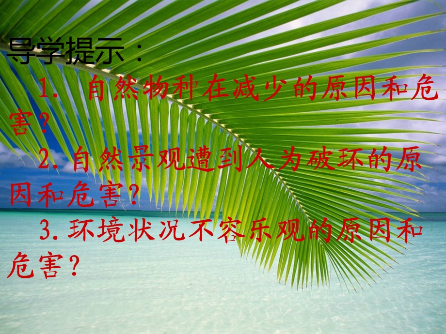 人与大自然的不和谐之音.ppt_第3页