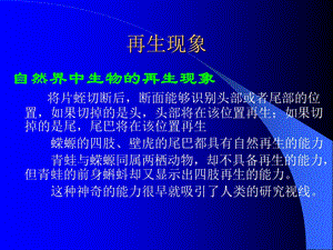 08干细胞与再生医学文档资料.ppt