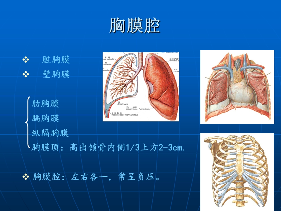 创伤性血气胸的急救与护理文档资料.ppt_第3页