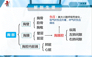 外科护理第十三章第一节胸部损伤病人的护理PPT课件PPT文档.ppt