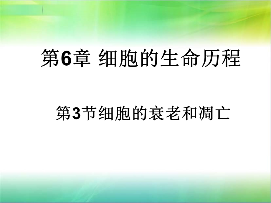 最新pyn细胞的衰老与凋亡PPT文档.ppt_第2页