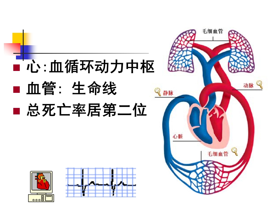 心血管系统疾病1动脉粥样硬化、冠心病名师编辑PPT课件.ppt_第2页