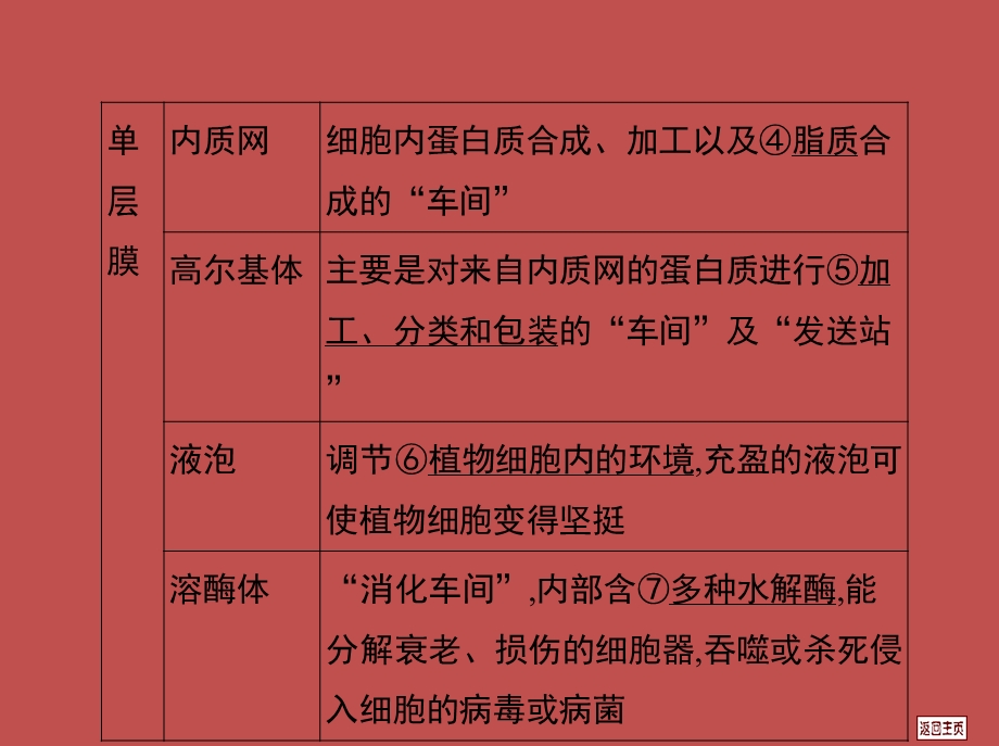 高三一轮复习22细胞器—系统内的分工合作PPT文档.ppt_第2页