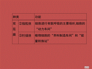 高三一轮复习22细胞器—系统内的分工合作PPT文档.ppt