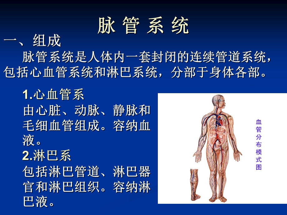 变16.17.09心脏PPT文档.ppt_第1页