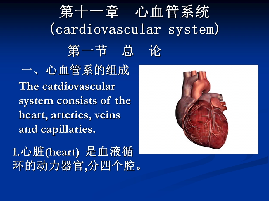 变16.17.09心脏PPT文档.ppt_第3页