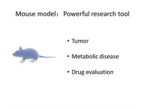 小鼠裸鼠肿瘤动物模型ppt课件PPT文档.pptx