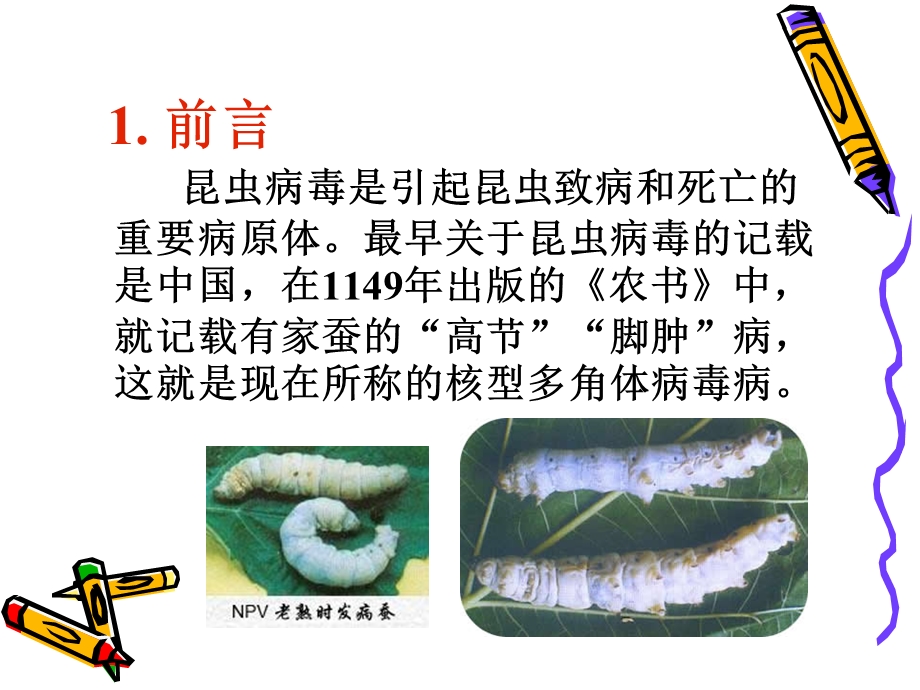 昆虫病毒的利用文档资料.ppt_第2页