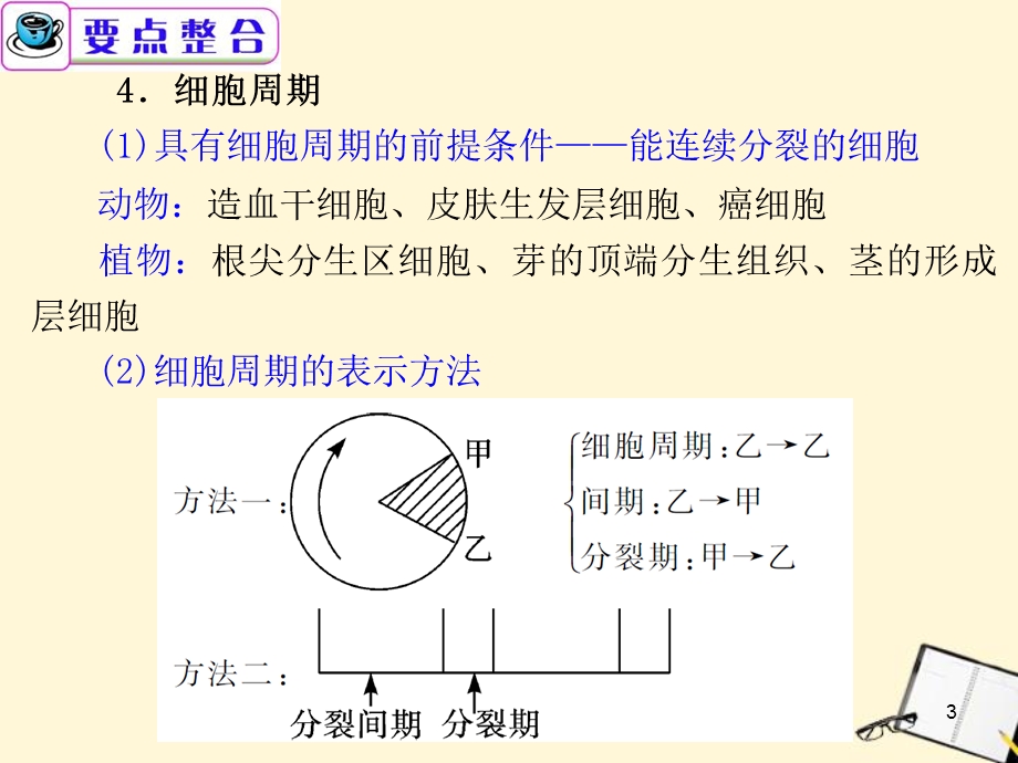 广东省高考生物二轮总复习第5课时细胞增殖和受精作用PPT课件.ppt_第3页