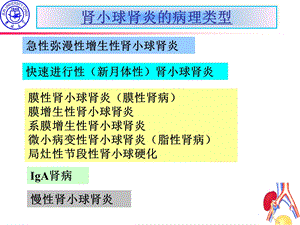 七科考病理学泌尿系统疾病 PPT文档.ppt