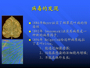 1病毒学概论和艾滋病病原学PPT文档.ppt