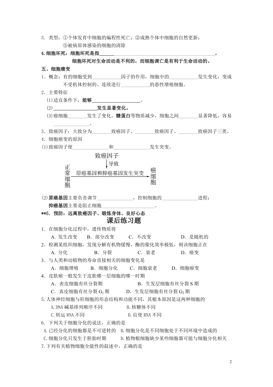 6.2细胞的分化、衰老、调亡和癌变学案1教学文档.doc_第2页