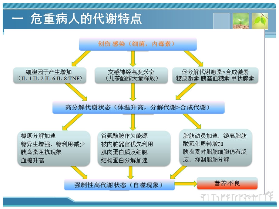 危重病人的代谢特点及营养评定PPT文档.ppt_第2页