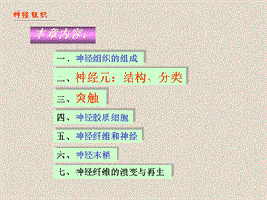 七年制神经组织文档资料.ppt