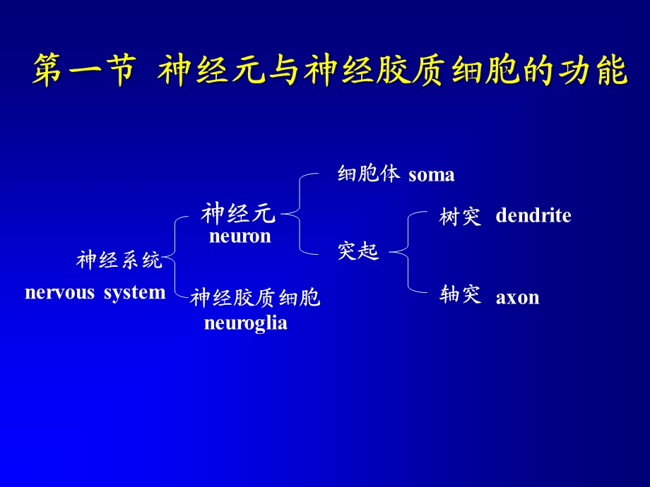 10神经系统的功能文档资料.ppt_第1页