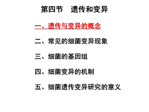 04细菌遗传与变异文档资料.ppt