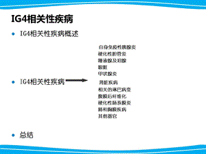 最新ig相关性疾病PPT文档.ppt