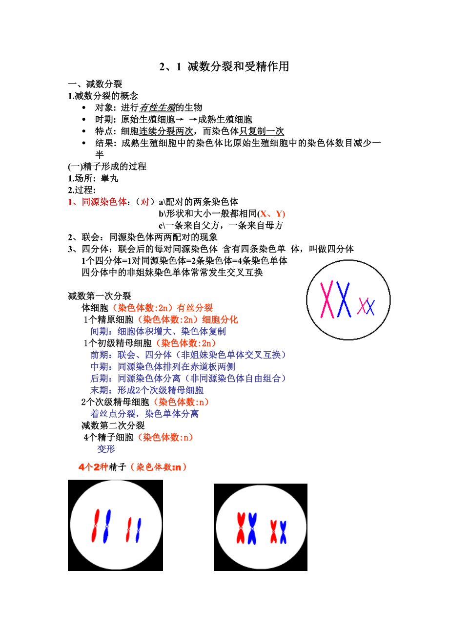 2.1减数分裂和受精作用教案2教学文档.doc_第2页