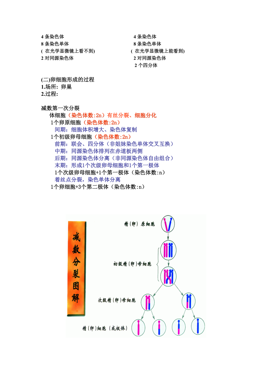 2.1减数分裂和受精作用教案2教学文档.doc_第3页