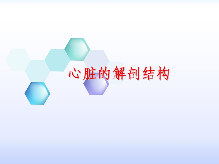 心脏的解剖结构及传导系统PPT文档.ppt_第2页