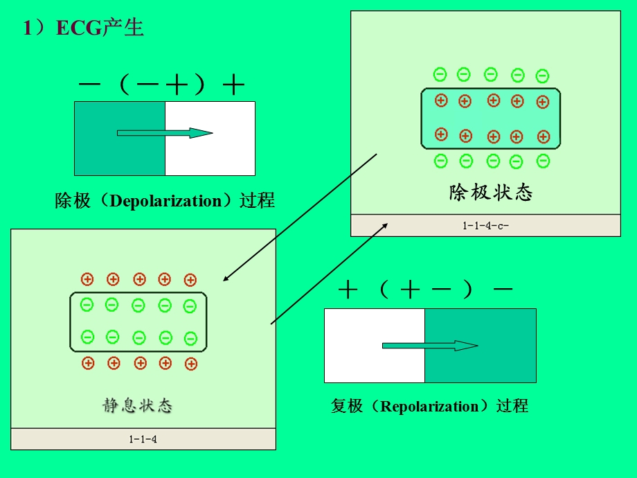 心电图文档资料.ppt_第3页