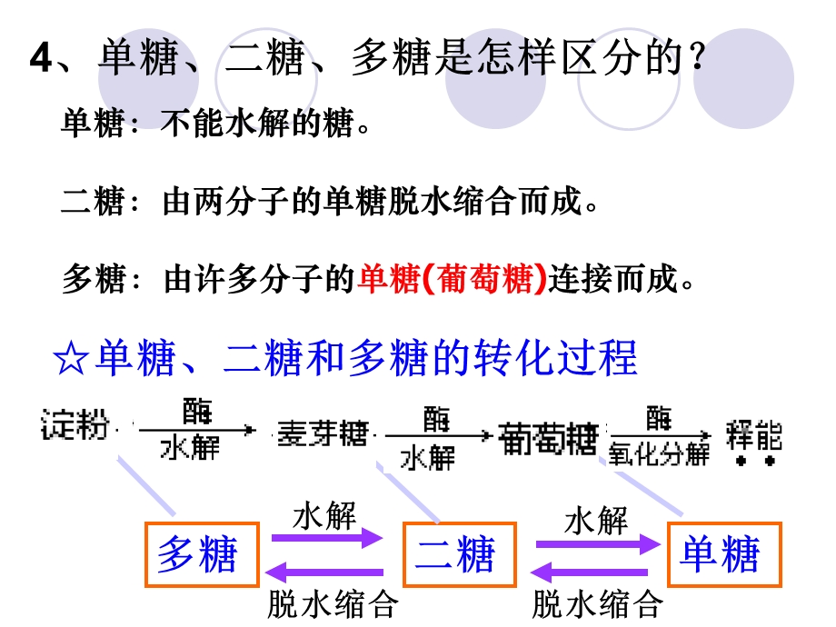 最新lhq细胞中的糖类和脂质PPT文档.ppt_第2页