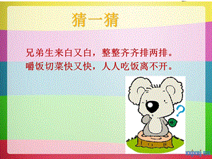 口腔保健科普讲座幼儿园 精选文档.ppt