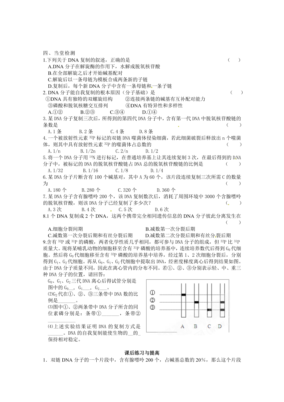 3.3DNA的复制导学案1教学文档.doc_第3页