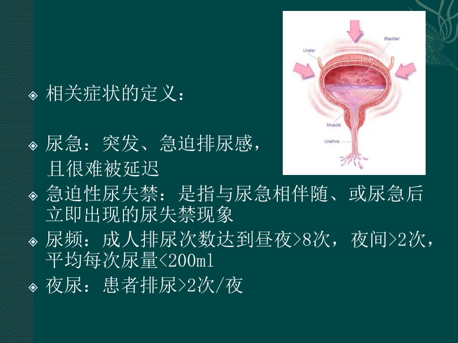 版膀胱过度活动症诊疗指南PPT文档.pptx_第2页