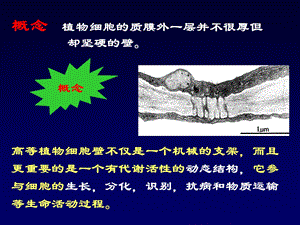 1002第一章植物细胞210310文档资料.ppt