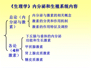 内分泌系统11精选文档.ppt