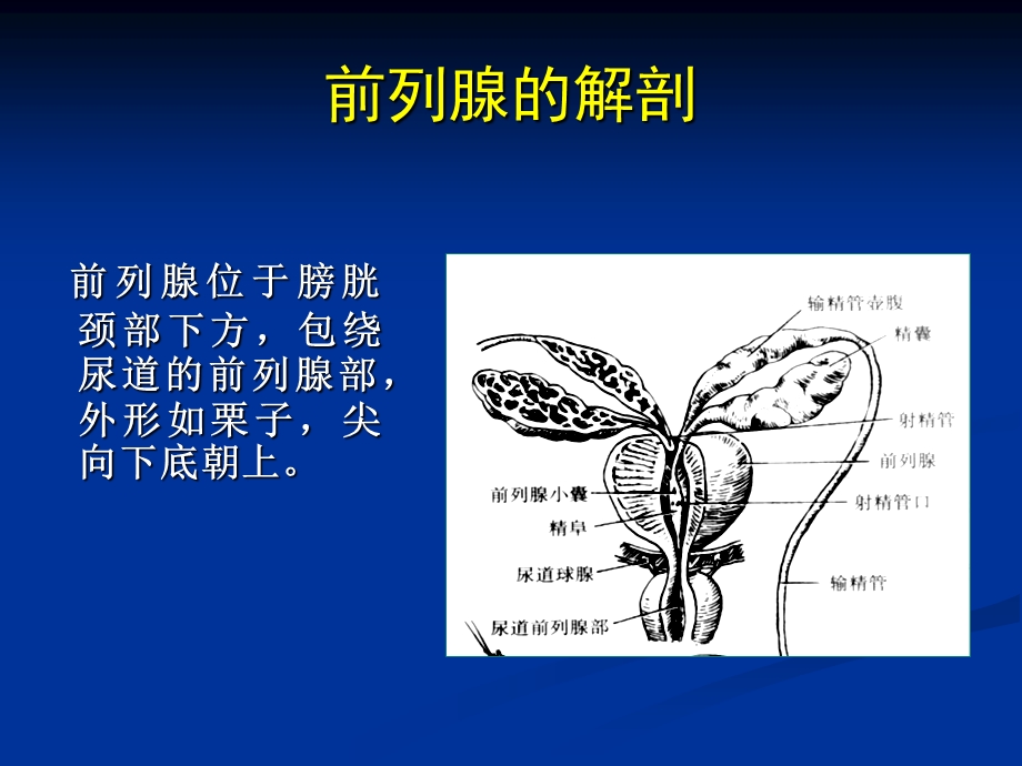 前列腺疾病超声PPT文档.ppt_第1页