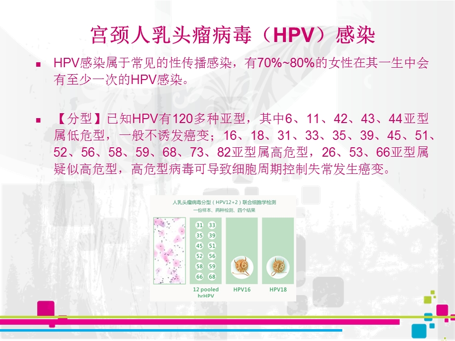 宫颈病变表示着什么精选文档.ppt_第2页