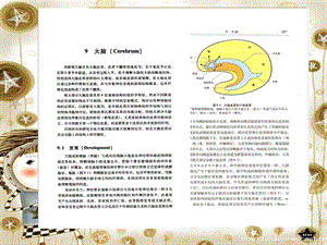 神经系统疾病定位诊断学0910名师编辑PPT课件.ppt