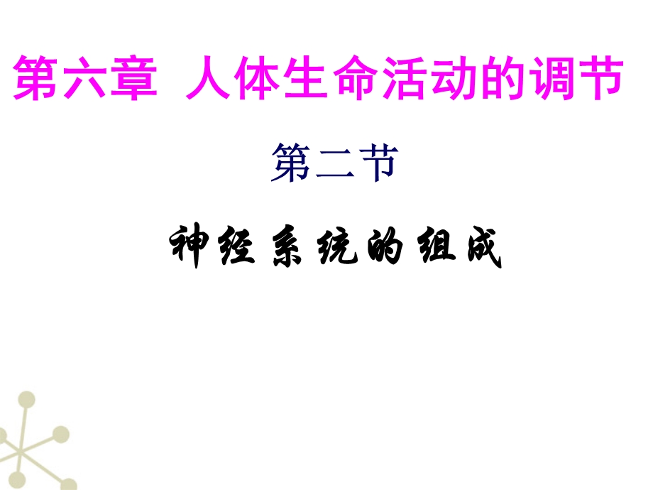 七年级生物下册神经系统的组成人教新课标版4PPT文档.ppt_第1页