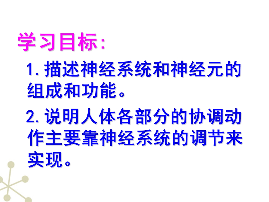 七年级生物下册神经系统的组成人教新课标版4PPT文档.ppt_第2页