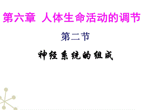 七年级生物下册神经系统的组成人教新课标版4PPT文档.ppt