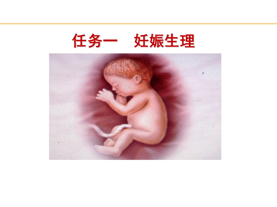 妊娠生理PPT文档.ppt_第1页