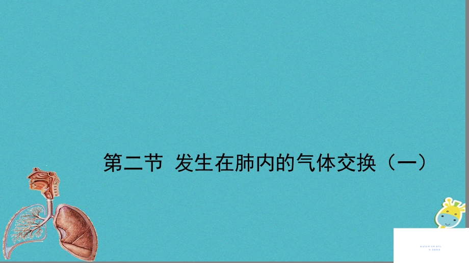 广东中山市七年级生物下册4.3.2发生在肺内的气体交换课件1新版新人教版文档资料.ppt_第3页