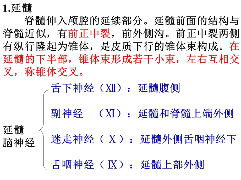 人脑的结构文档资料.ppt_第3页