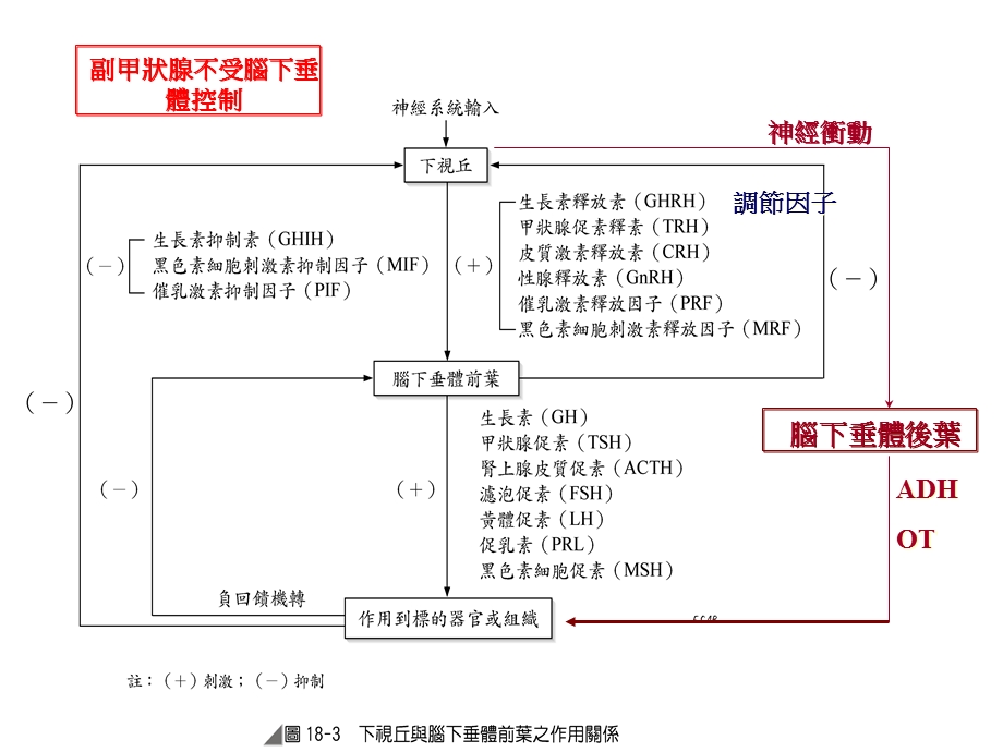 内分泌系统疾病之护理PPT文档.ppt_第1页