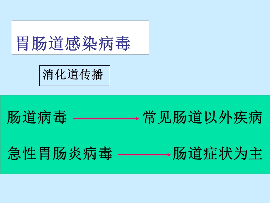 20肠道病毒2文档资料.ppt_第1页