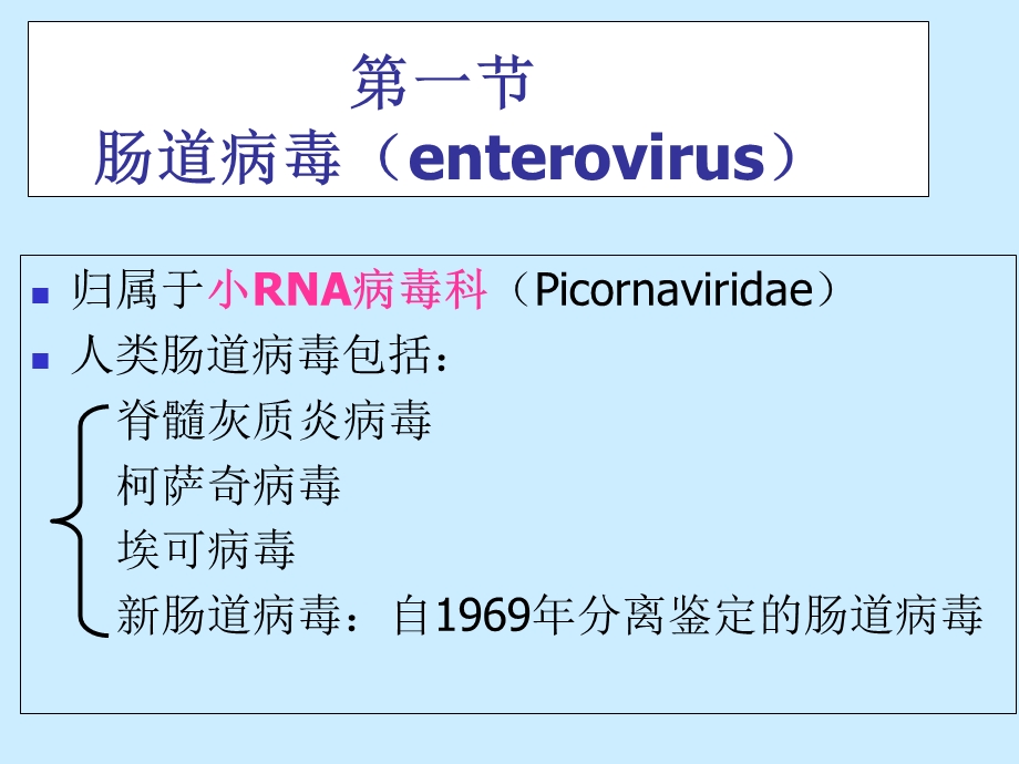 20肠道病毒2文档资料.ppt_第2页