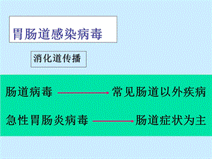 20肠道病毒2文档资料.ppt