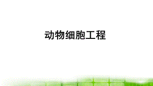 高中生物人教版选修专题同步教学动物细胞培养和核移植技术共张ppt课件文档资料.ppt