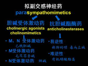 拟副交神经药课件文档资料.ppt