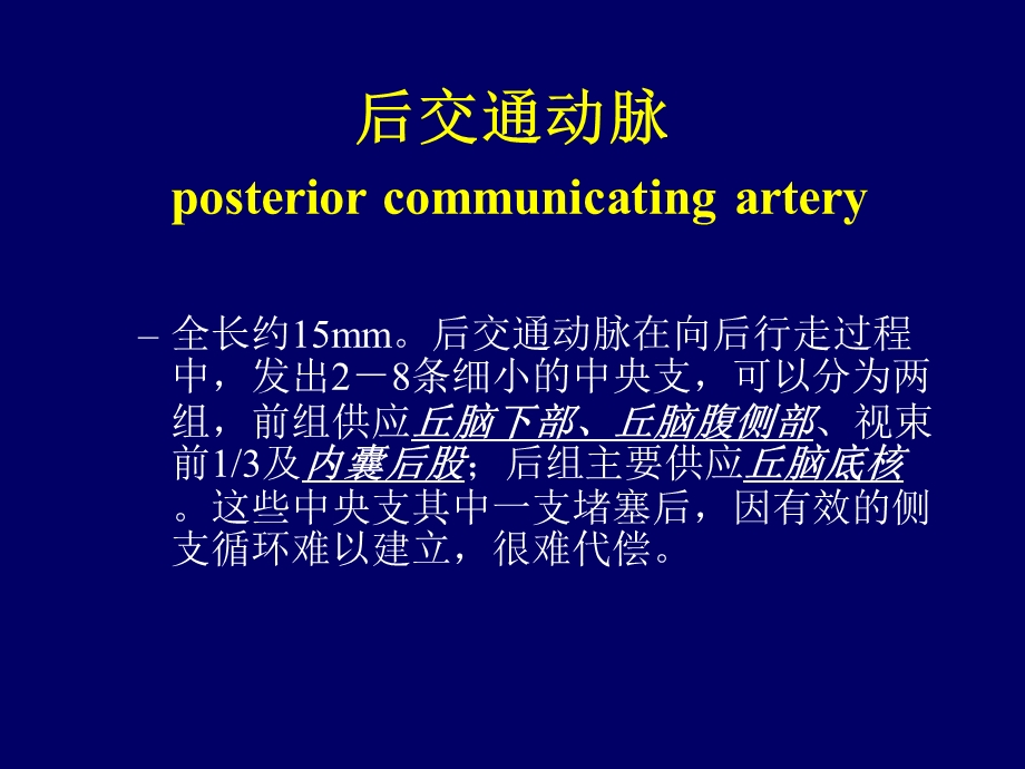 丘脑底节区脑血管解剖PPT文档.ppt_第1页