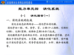 动物解剖学消化系统文档资料.ppt