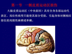 临床神经解剖3文档资料.ppt