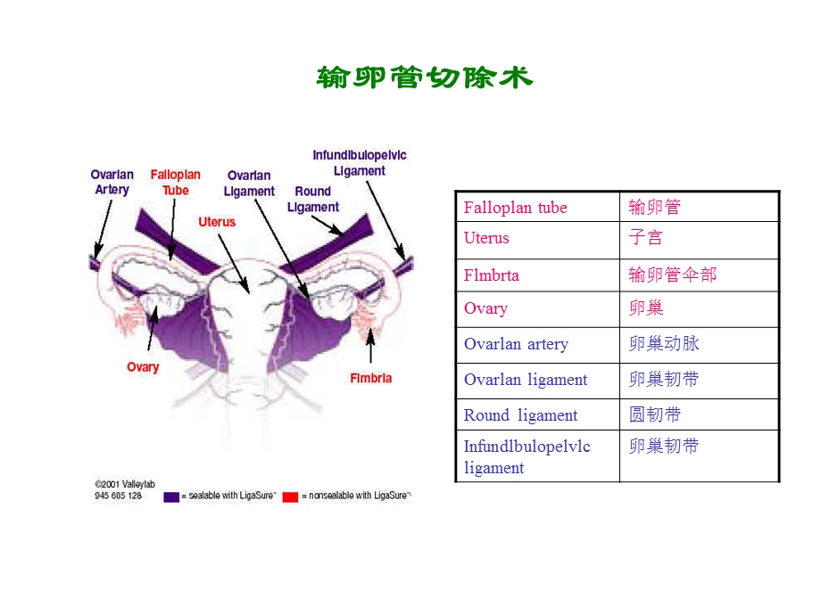 外科手术图谱精选文档.ppt_第2页